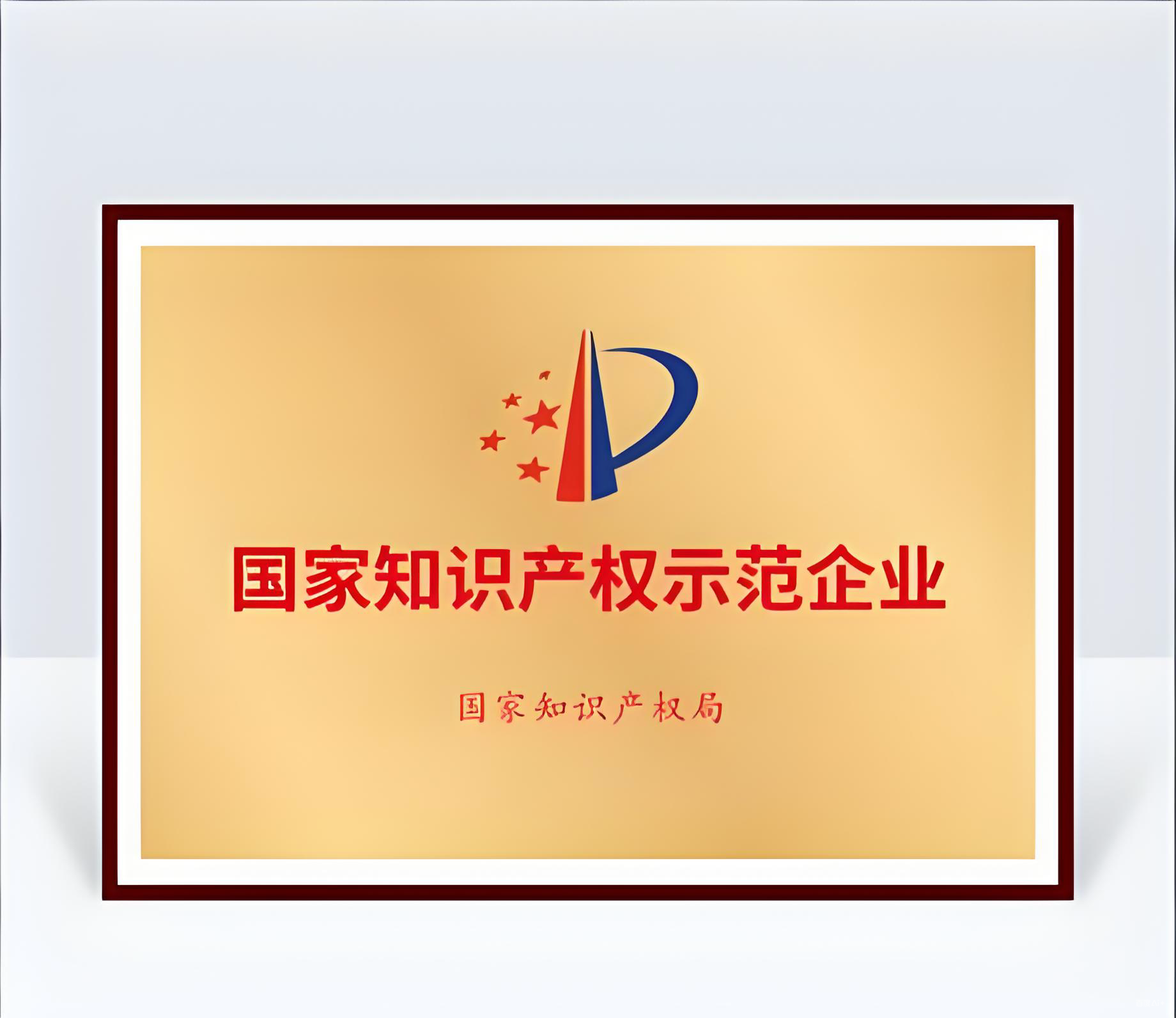 2017年首次获得国家知识产权示范91porn认定
